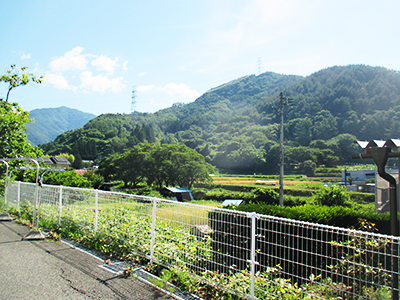 認知症対応型通所介護 萩の家 緑豊かな山々